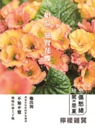 恶质花蝶小说封面
